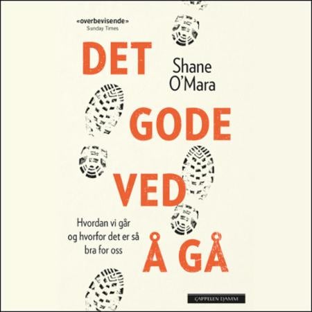 Det gode ved å gå - hvordan vi går og hvorfor det er så bra for oss