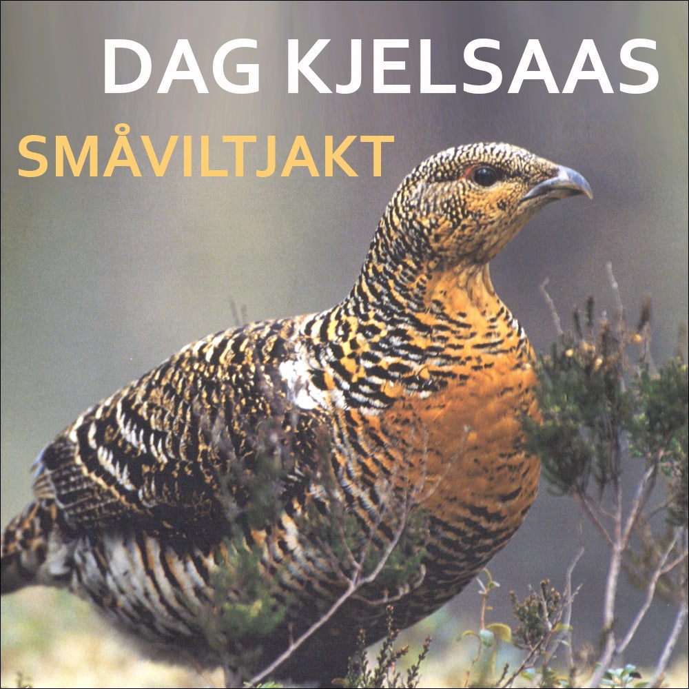 Bilde av Småviltjakt Av Dag Kjelsaas