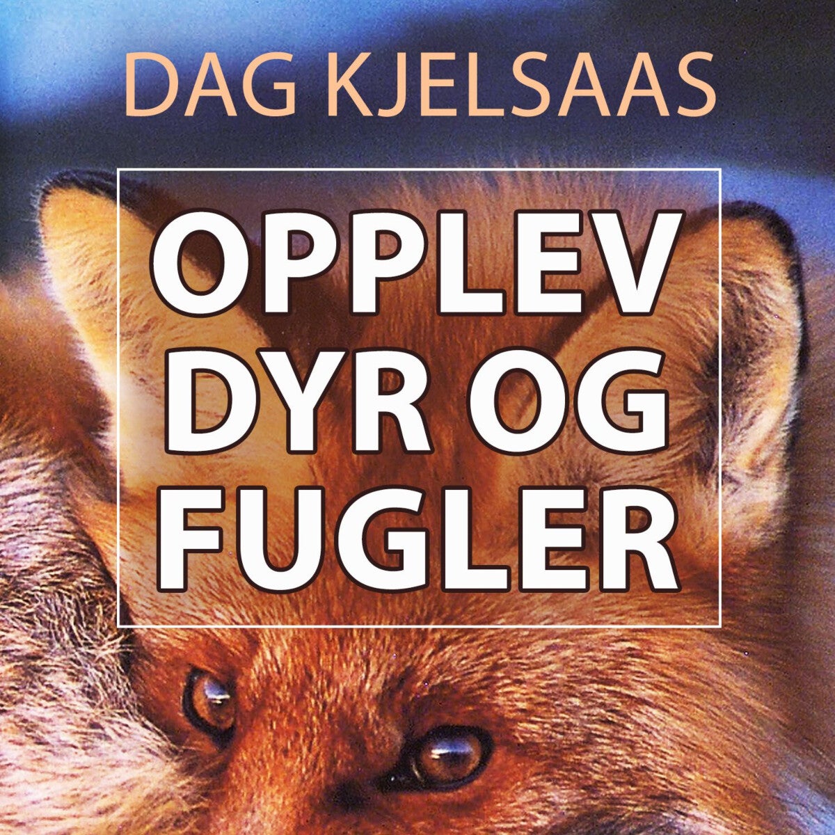 Bilde av Opplev Dyr Og Fugler Av Dag Kjelsaas