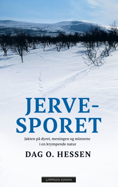 Jervesporet - jakten på dyret, meningen og minnene i en krympende natur