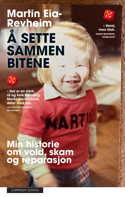 Å sette sammen bitene - min historie om vold, skam og reparasjon