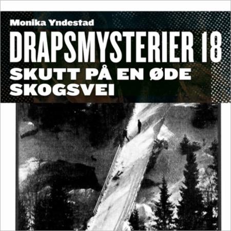 Skutt på en øde skogsvei - Hadelandsdrapene