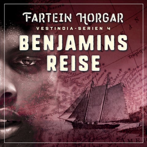 Benjamins reise - roman
