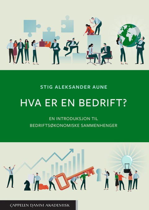 Hva er en bedrift? - en introduksjon til bedriftsøkonomiske sammenhenger