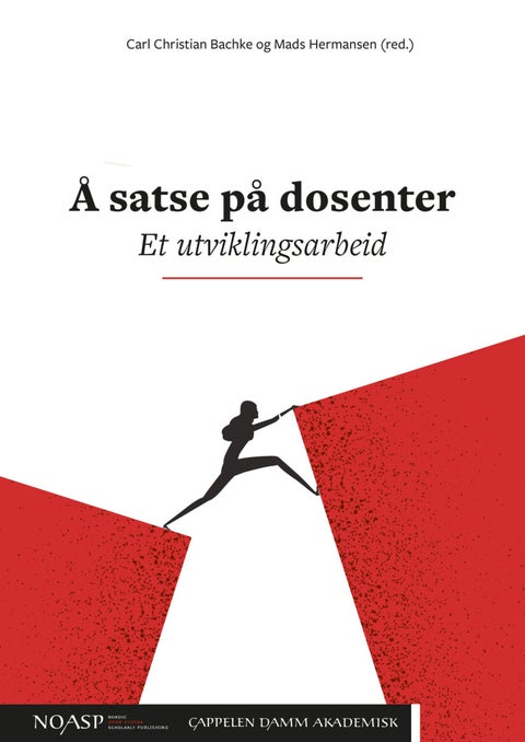 Å satse på dosenter - et utviklingsarbeid