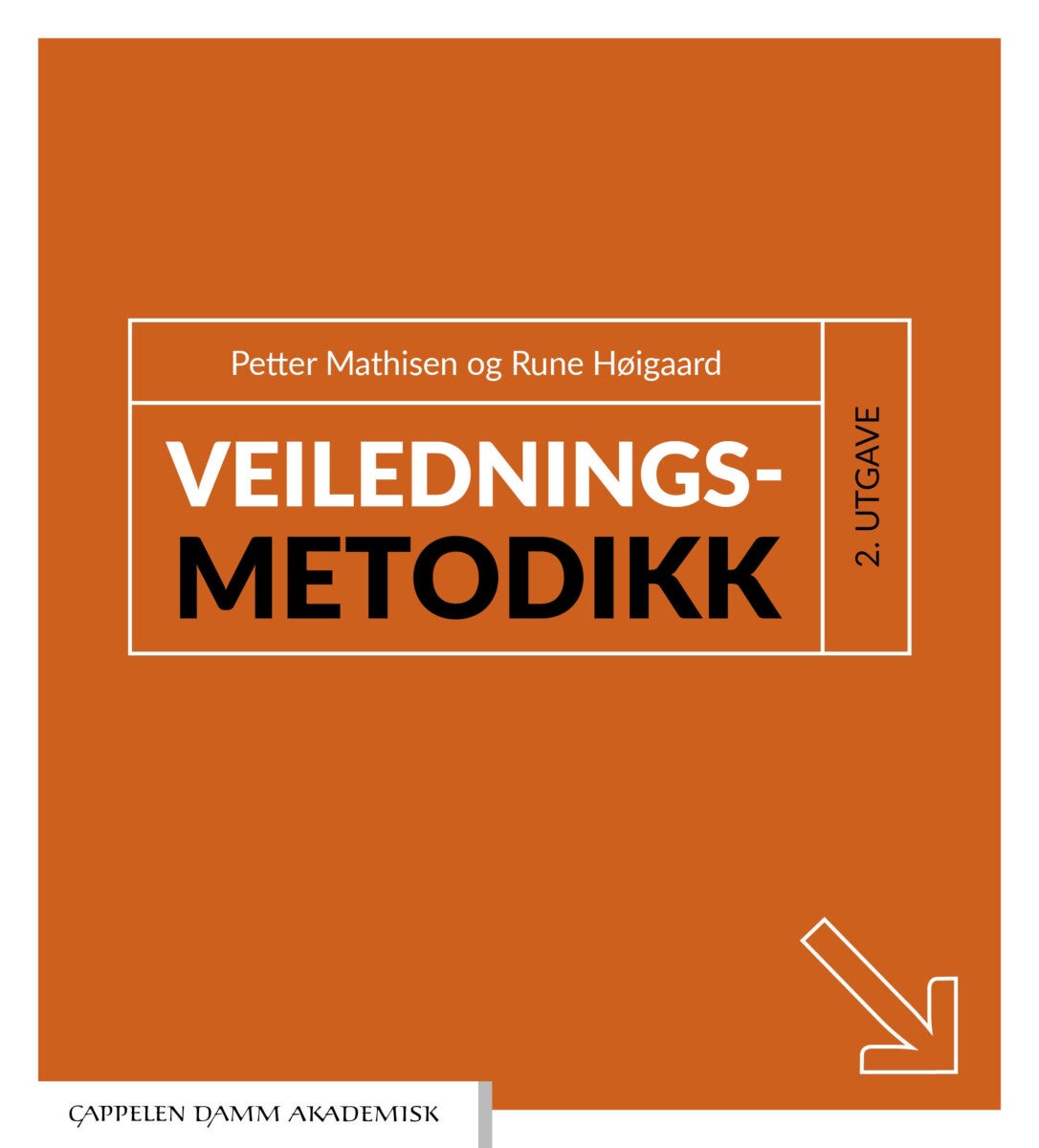 Veiledningsmetodikk - en håndbok i praktisk veiledningsarbeid