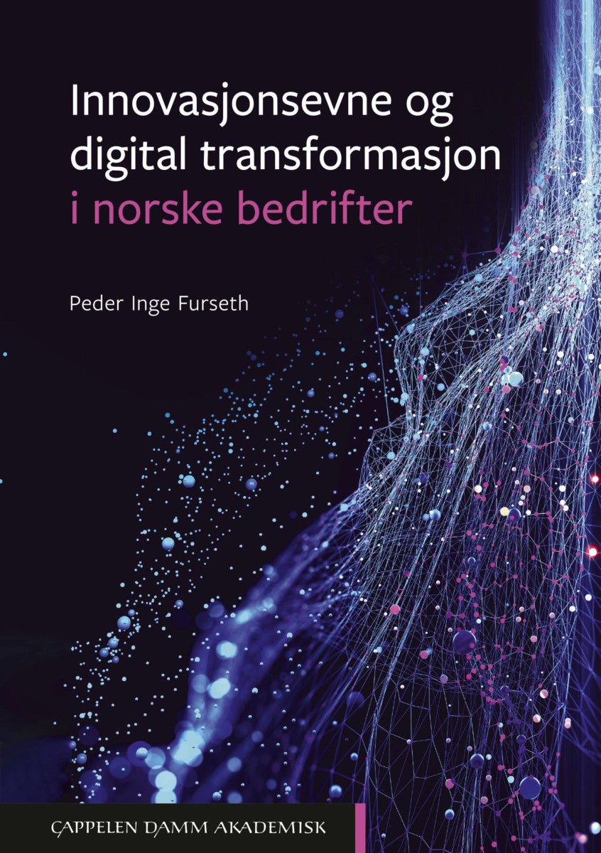 Bilde av Innovasjonsevne Og Digital Transformasjon I Norske Bedrifter Av Peder Inge Furseth