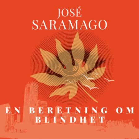 En beretning om blindhet