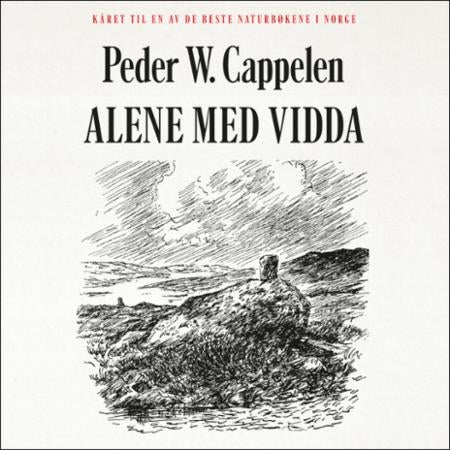 Alene med vidda