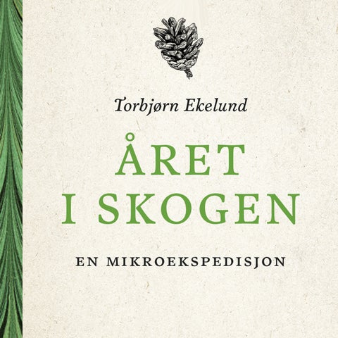 Året i skogen - en mikroekspedisjon