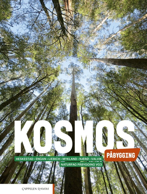Kosmos påbygging - Lærebok : påbygging til generell studiekompetanse i naturfag