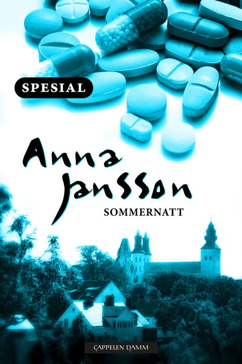 Sommernatten - Maria Wern sommernovelle