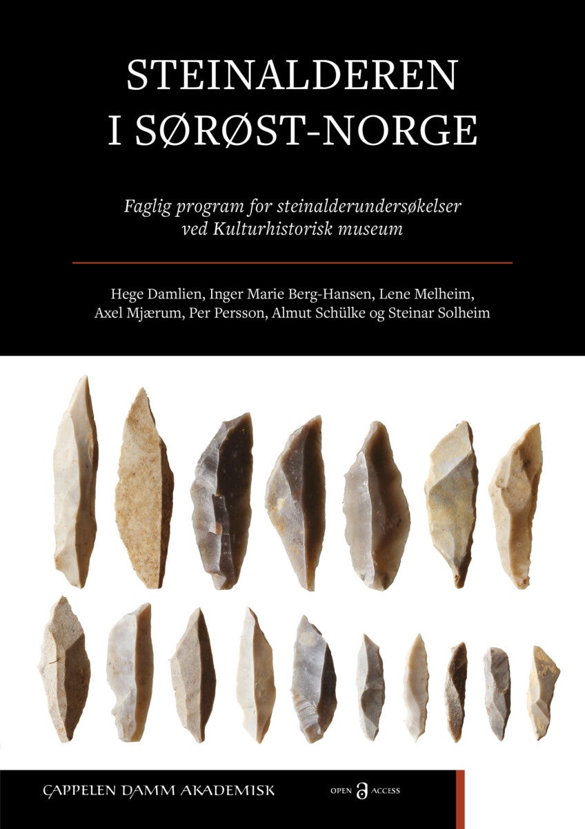 Steinalderen i Sørøst-Norge - faglig program for steinalderundersøkelser ved Kulturhistorisk museum