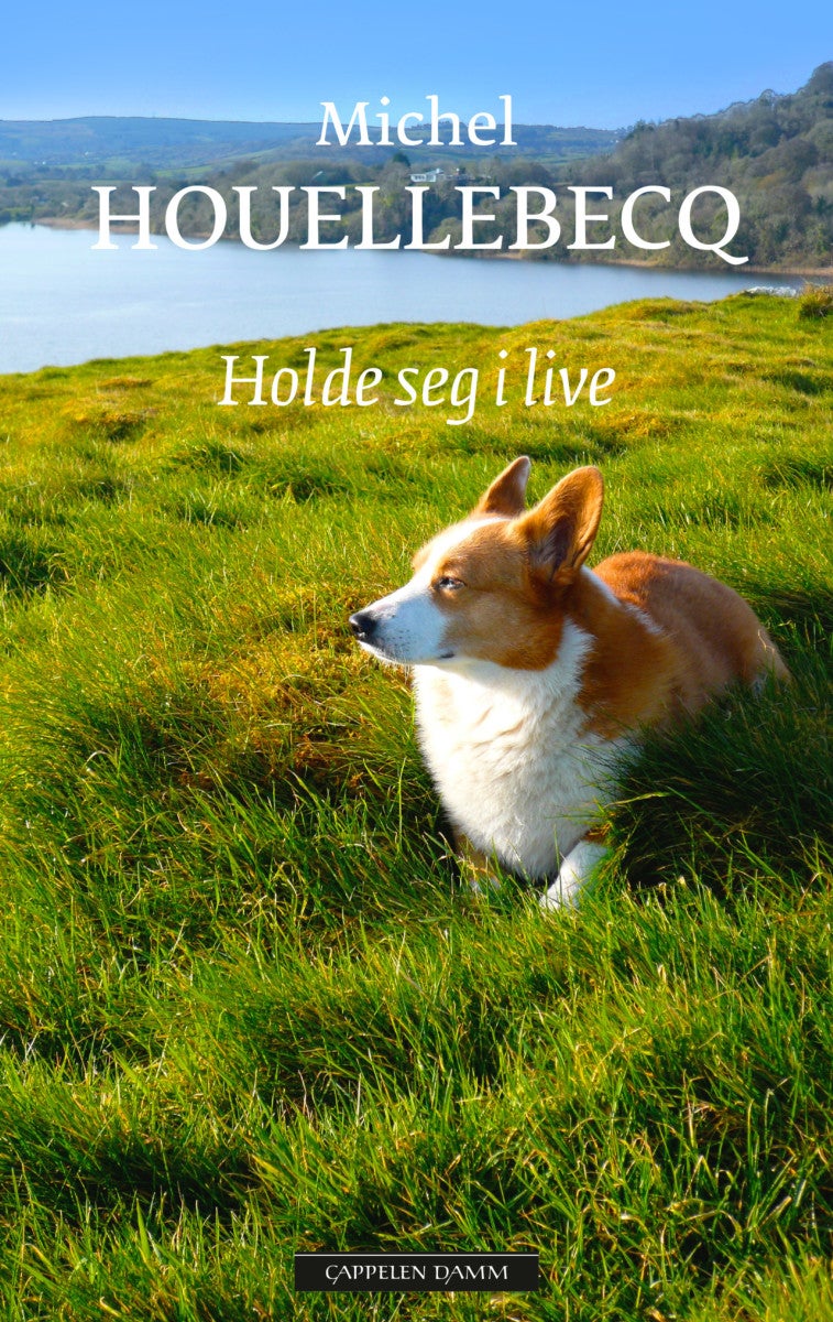 Holde seg i live av Michel Houellebecq