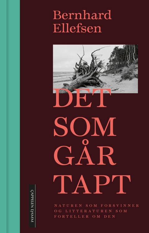Det som går tapt - naturen som forsvinner og litteraturen som forteller om den