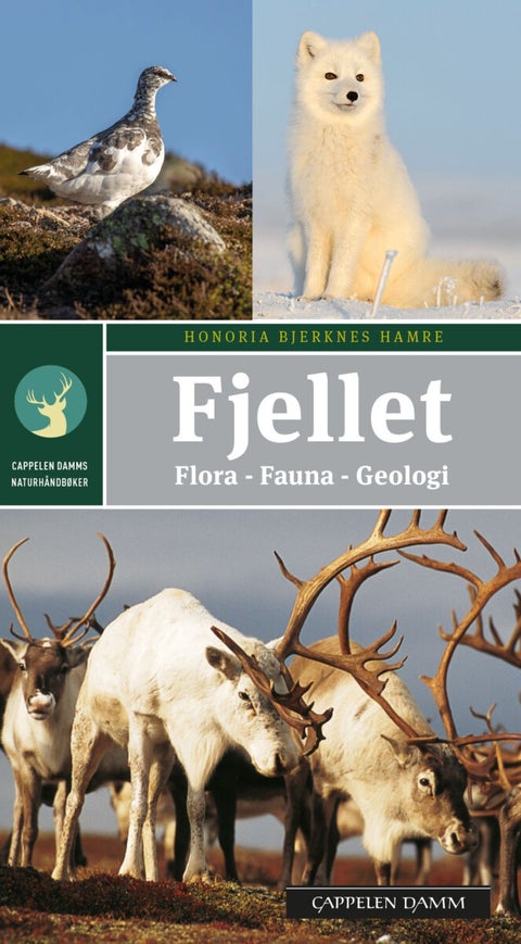 Fjellet - flora, fauna, geologi