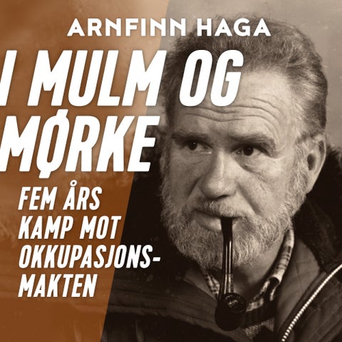 I mulm og mørke - fem års kamp mot okkupasjonsmakten