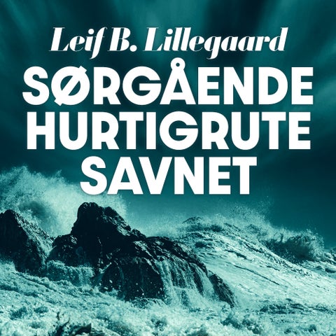 Sørgående hurtigrute savnet - romanen om stormfuglen Polarlys