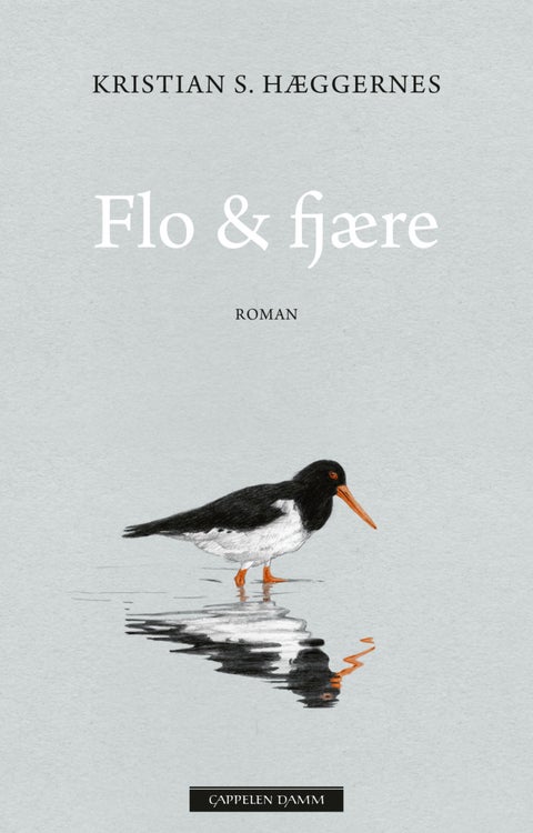 Flo & fjære - roman