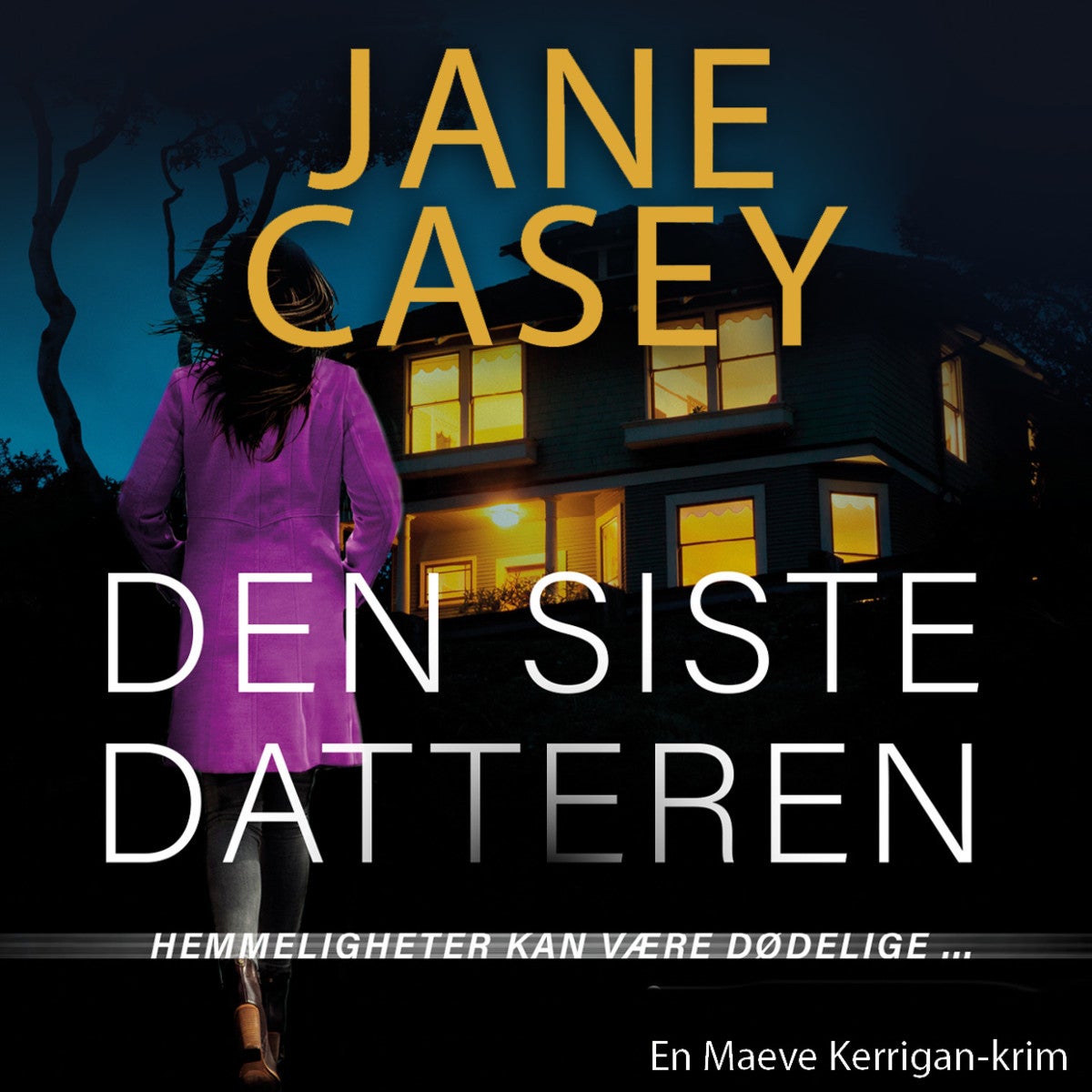 Den siste datteren av Jane Casey