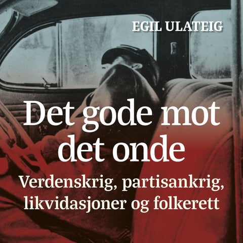 De gode mot de onde - verdenskrig, partisankrig, likvidasjoner og folkerett