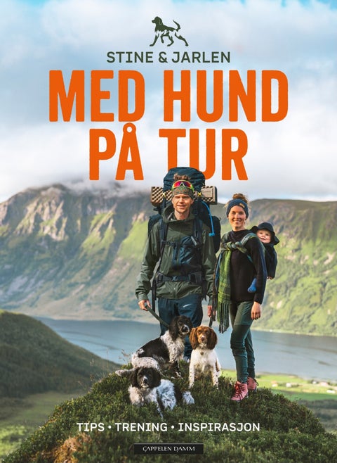Med hund på tur - tips, trening, inspirasjon