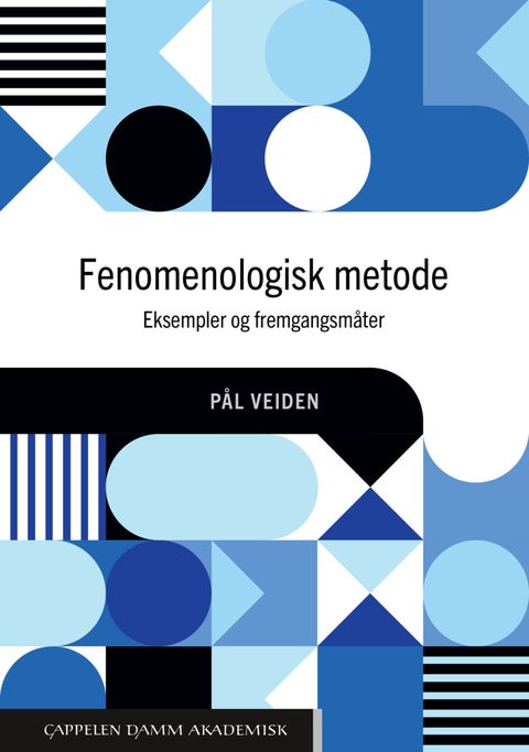 Fenomenologisk metode - eksempler og fremgangsmåter
