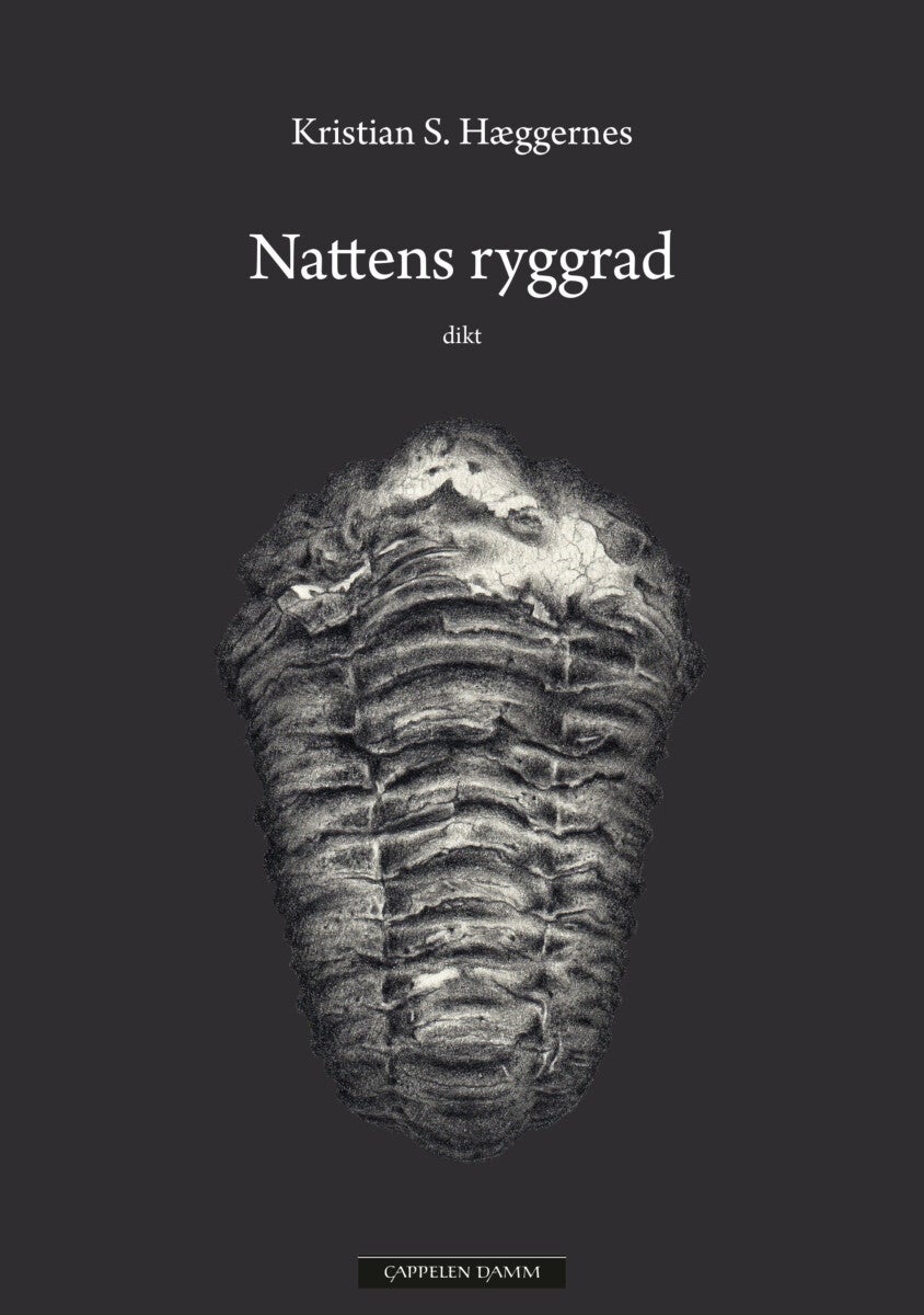 Bilde av Nattens Ryggrad Av Kristian S. Hæggernes