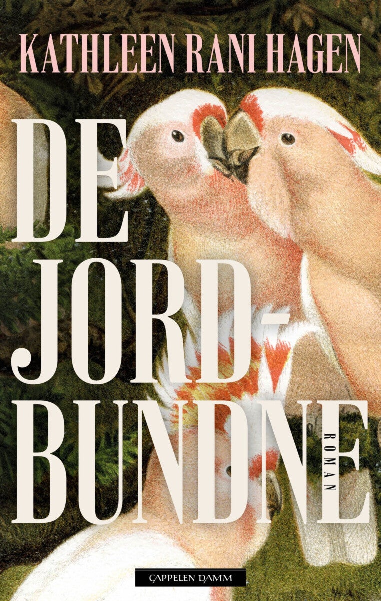 De jordbundne - roman