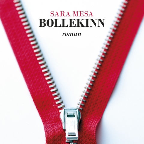 Bollekinn - roman