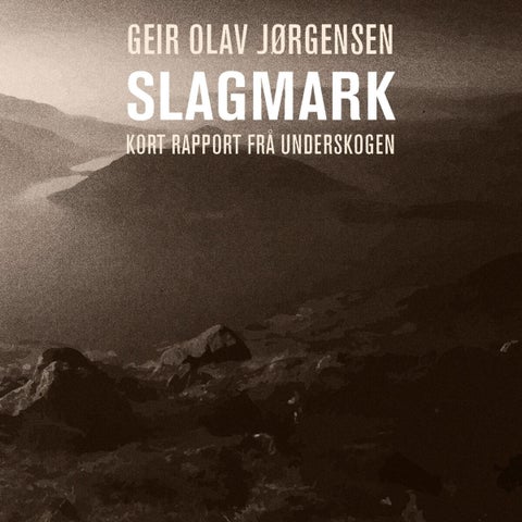Slagmark - kort rapport frå underskogen