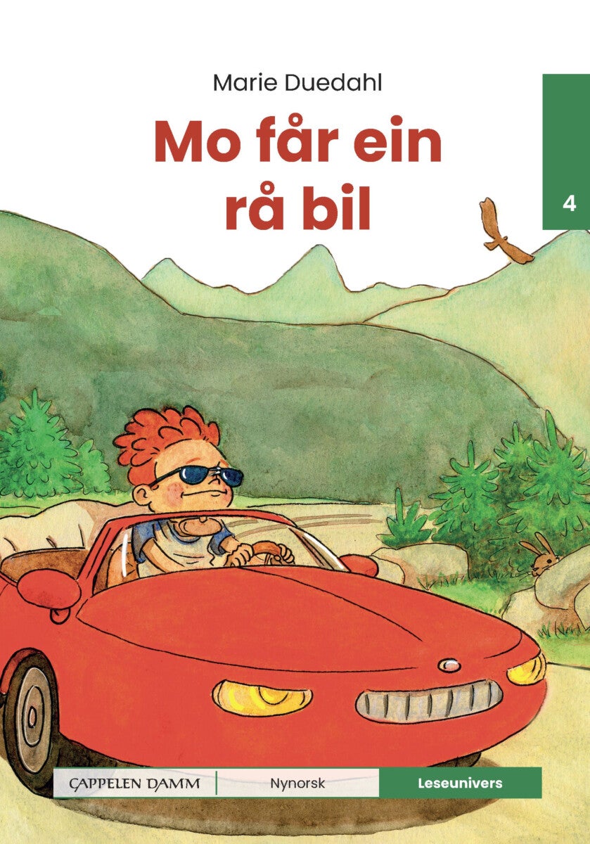 Mo får ein rå bil - nivå 4