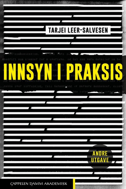 Innsyn i praksis