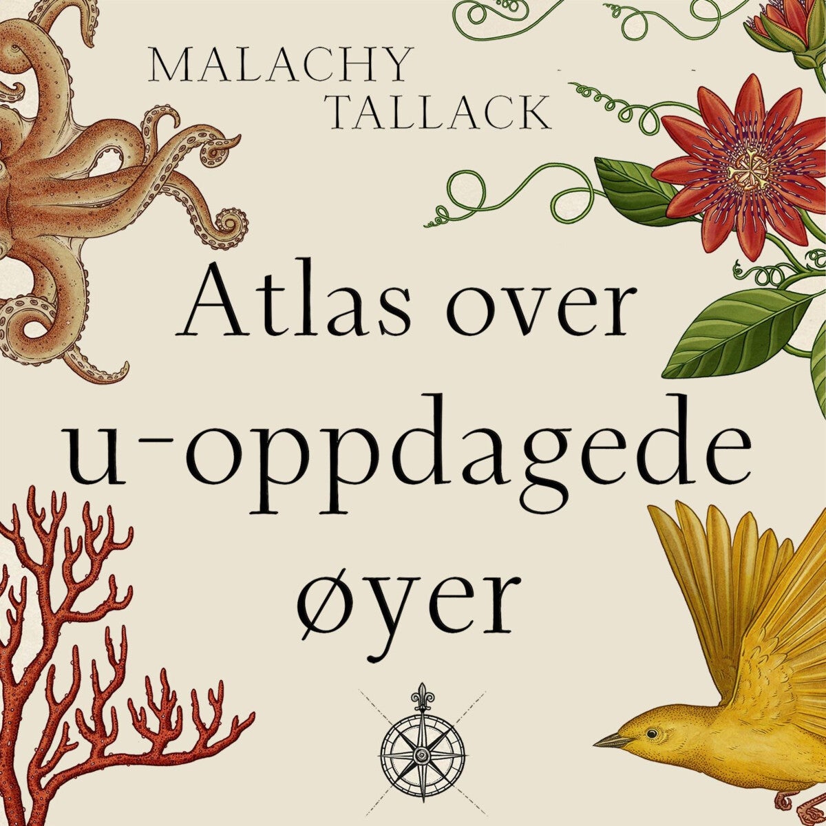 Atlas over u-oppdagede øyer - et hav av myter og mysterier, fantasier og bedrag