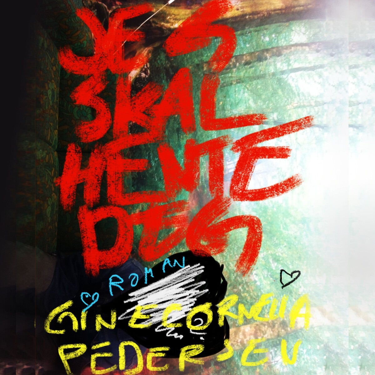 Jeg skal hente deg - roman