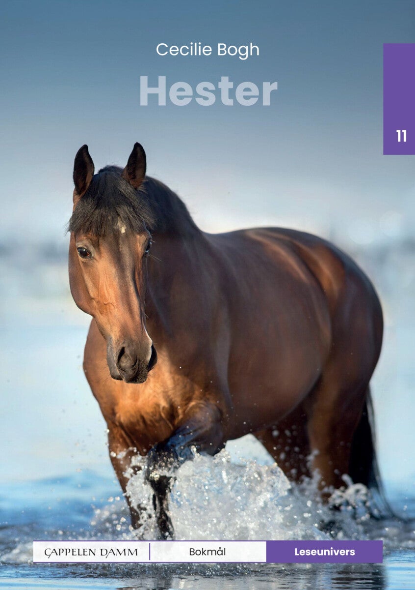 Hester - nivå 11