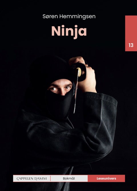 Ninja - nivå 13