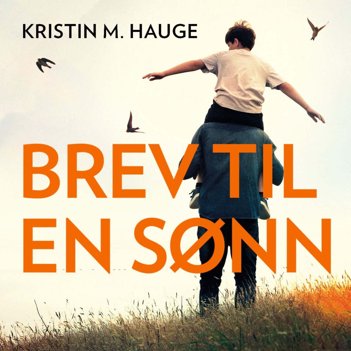 Brev til en sønn - 5 fortellinger for livet