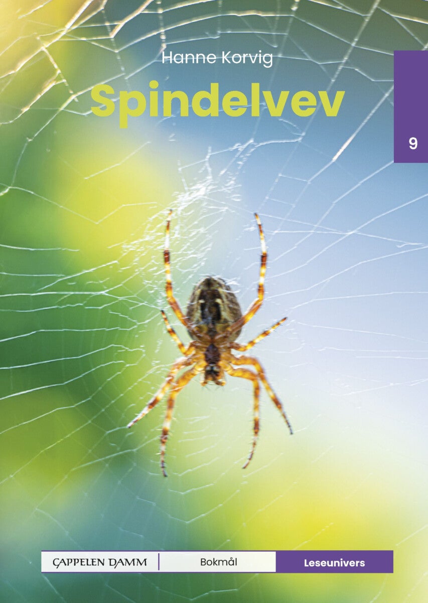 Spindelvev - nivå 9