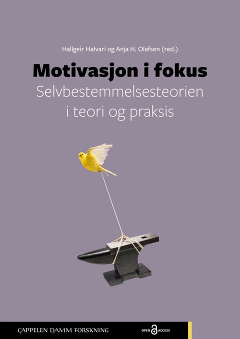Motivasjon i fokus - selvbestemmelsesteorien i teori og praksis