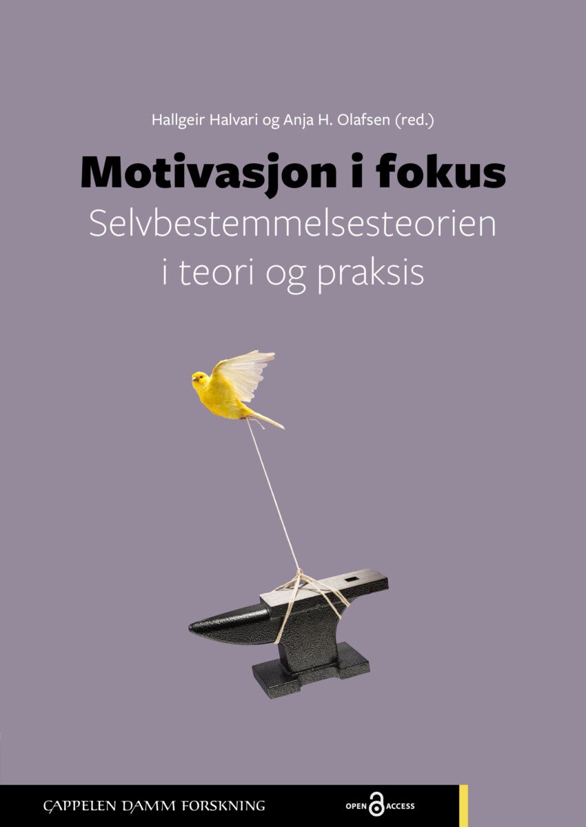 Motivasjon i fokus