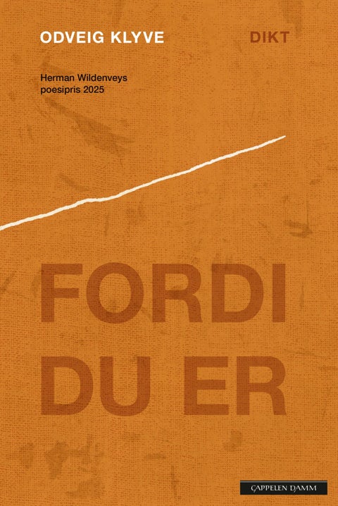 Fordi du er - dikt