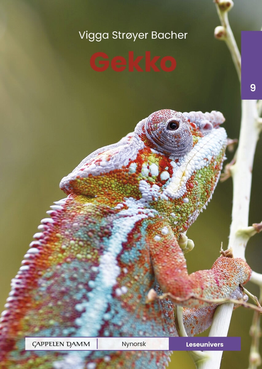 Gekko