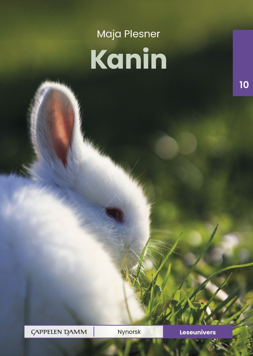 Kanin - nivå 10