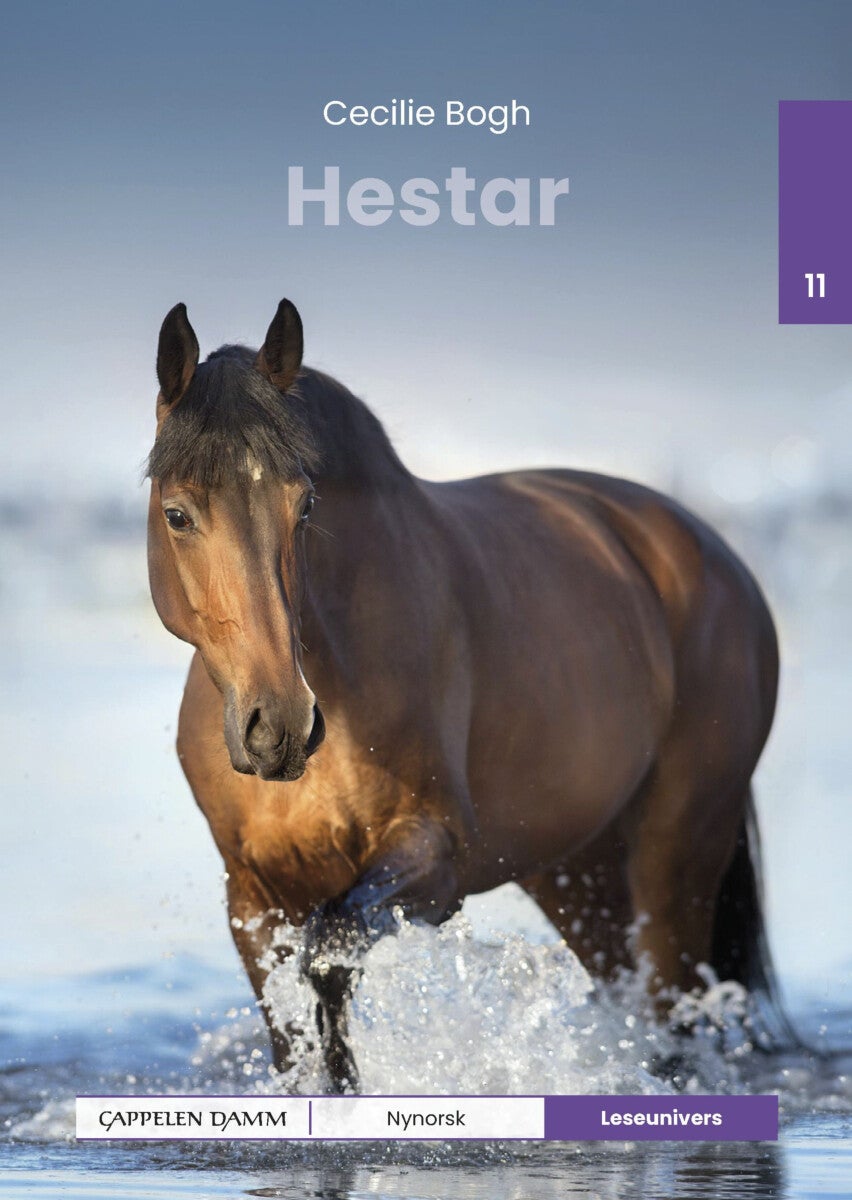 Hestar