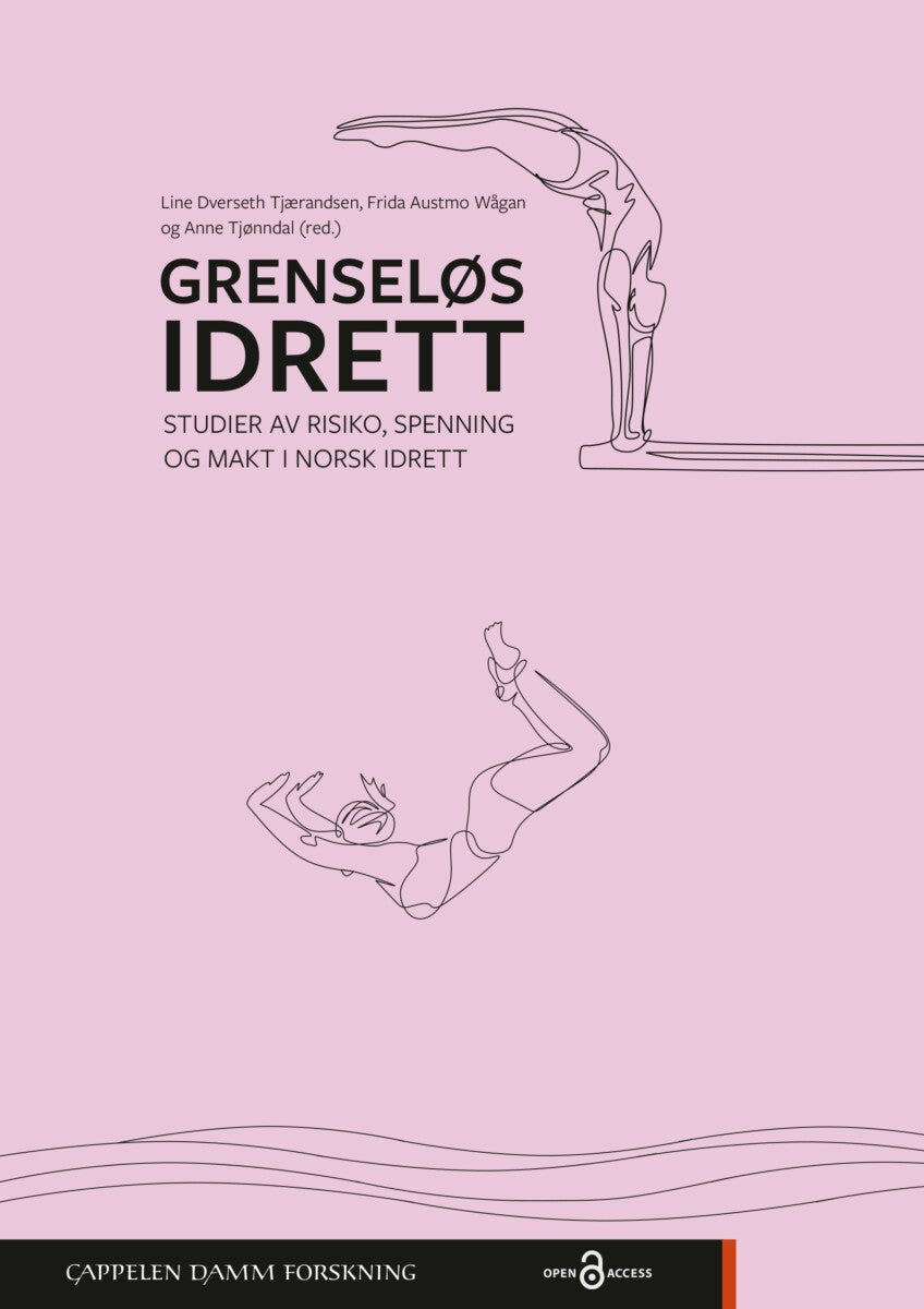 Grenseløs idrett - studier av risiko, spenning og makt i norsk idrett