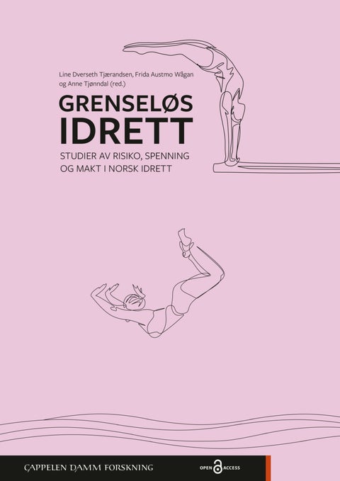 Grenseløs idrett - studier av risiko, spenning og makt i norsk idrett