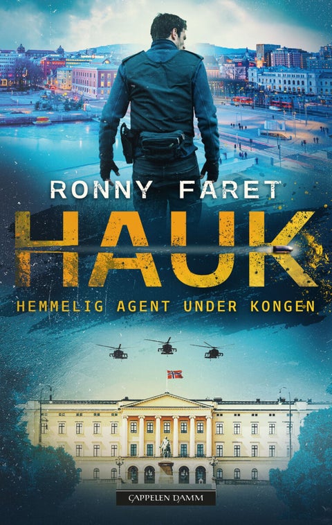 Hauk - hemmelig agent under kongen