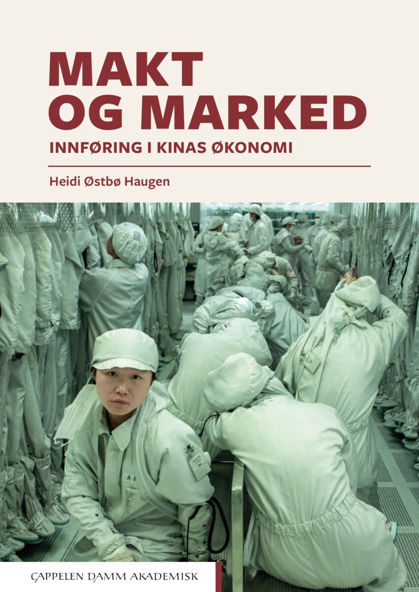Makt og marked - innføring i Kinas økonomi