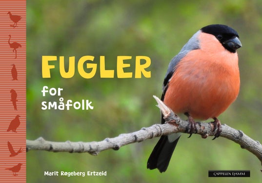 Fugler for småfolk